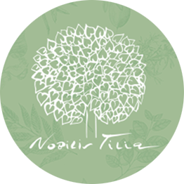 nobilis logo L (1)